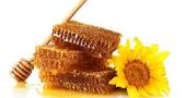 شناخت عسل طبیعی ازتقلبی عسل طبیعی دامنه های سبلان اردبیل